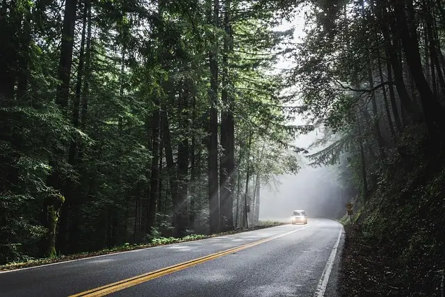 Vehicles and Transportation​