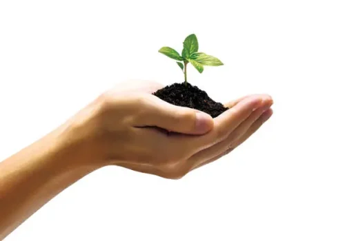 Protection of Lives and Assets